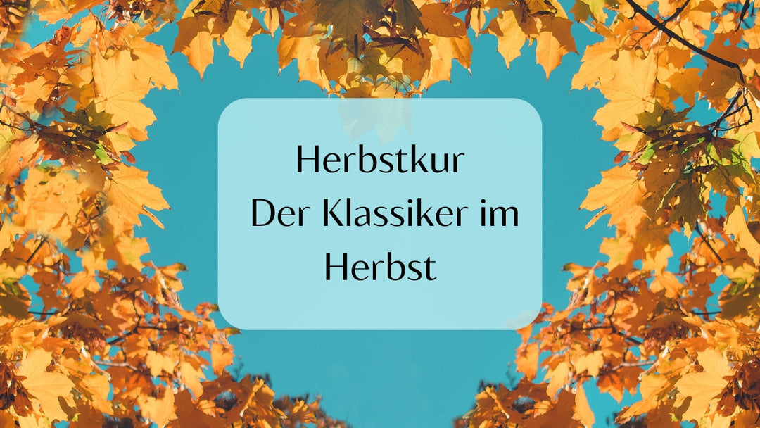 Herbstkur