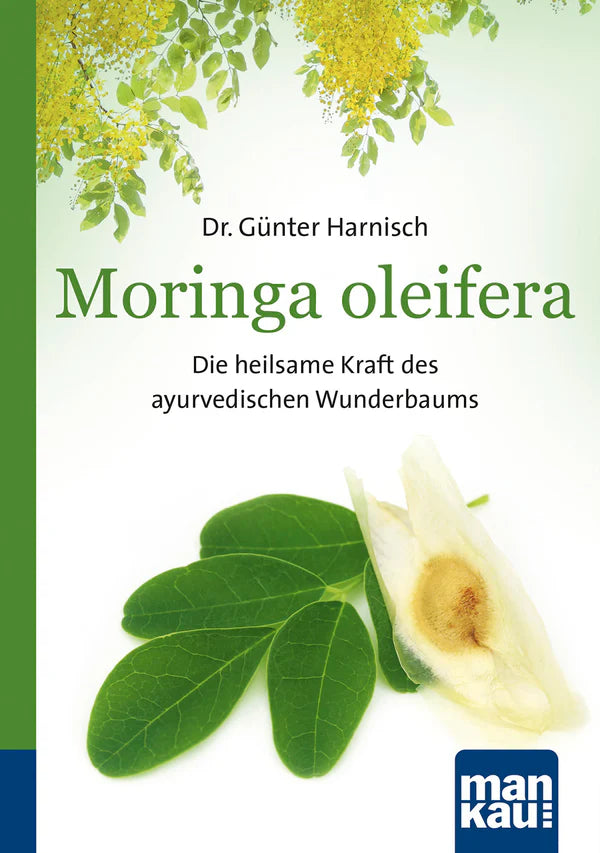 Moringa oleifera – Die heilsame Kraft des ayurvedischen Wunderbaums