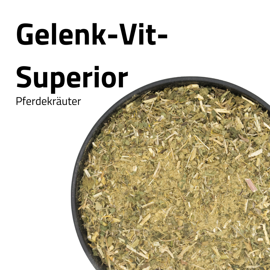 GelenkVit Superior