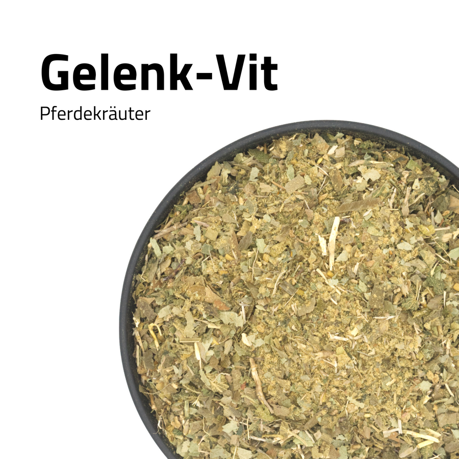 GelenkVit