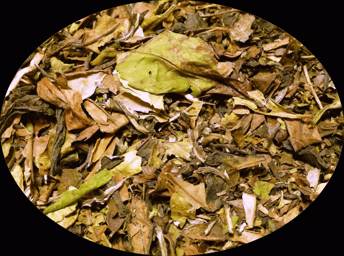 Weißer Tee "Pai Mu Tan" (kraeuter)